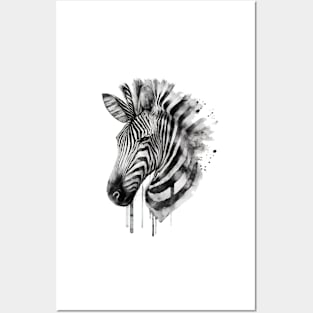 Zebra Posters and Art